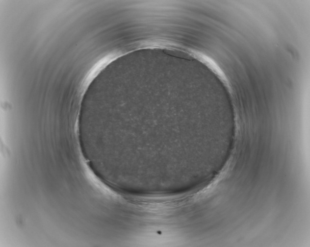 X0000091190946200708091247
