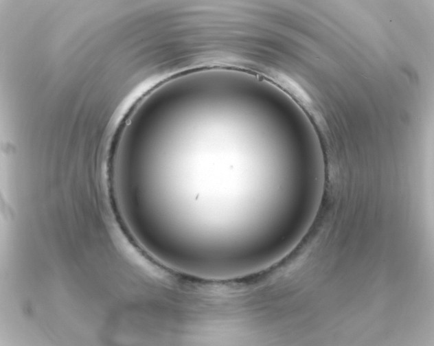 X0000091190947200708091247