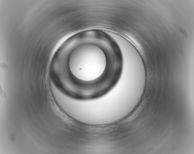 X0000091190948200708091247