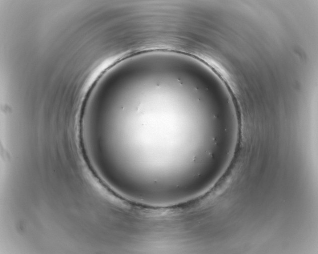 X0000091190949200708091247
