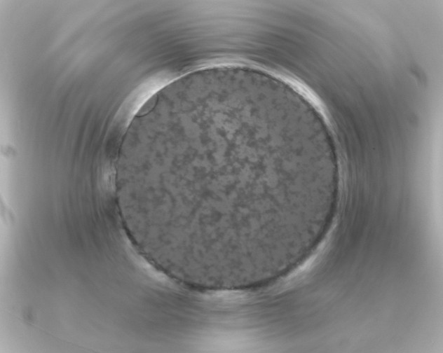 X0000091190953200708091247