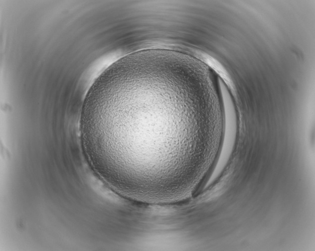 X0000091190954200708091247