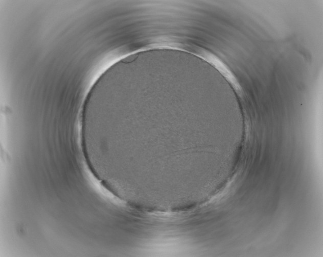 X0000091190955200708091247