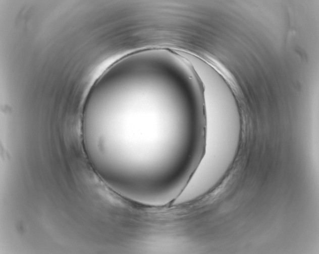 X0000091190956200708091247