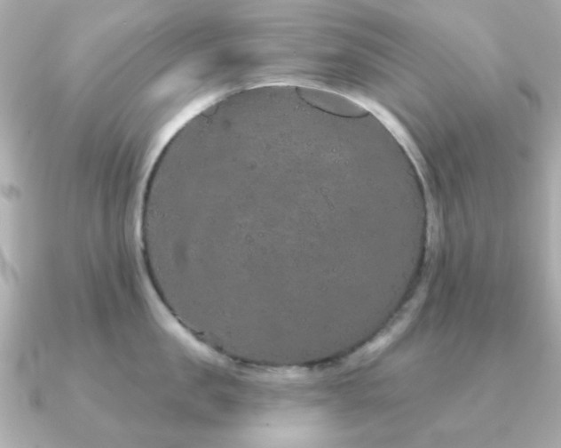 X0000091190957200708091247
