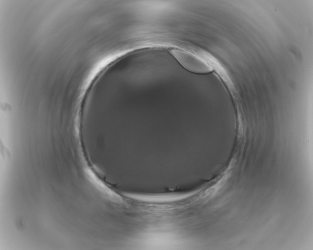 X0000091190958200708091247