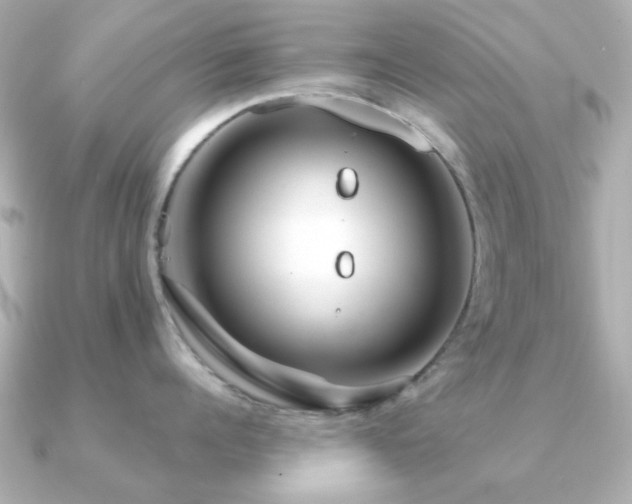 X0000091190960200708091247