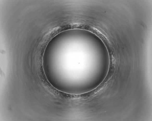 X0000091190961200708091246