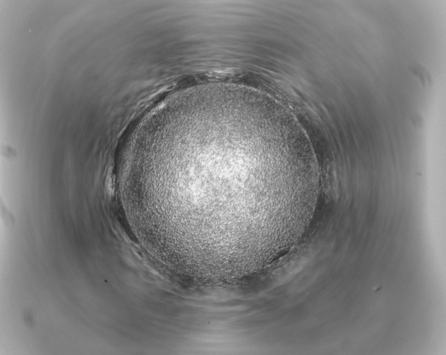 X0000091190962200708091246