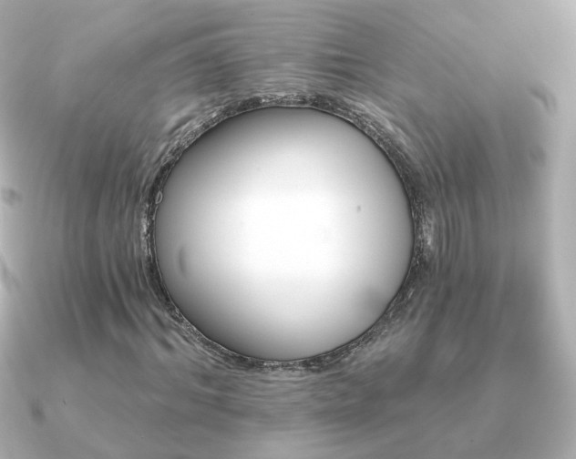 X0000091190964200708091246