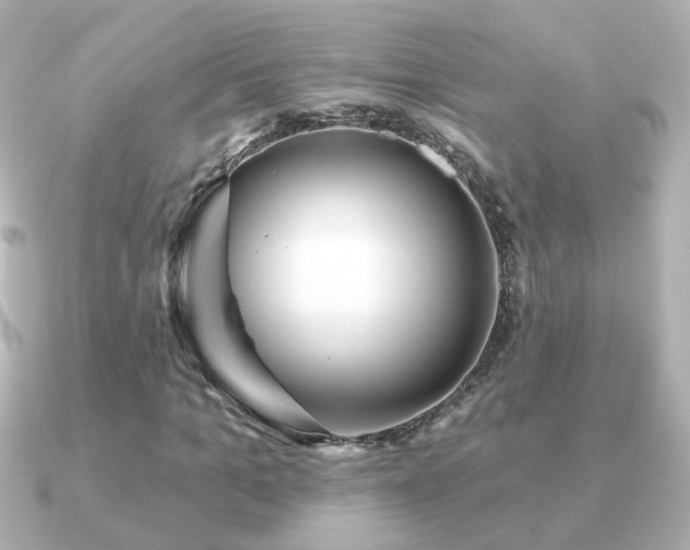 X0000091190965200708091246