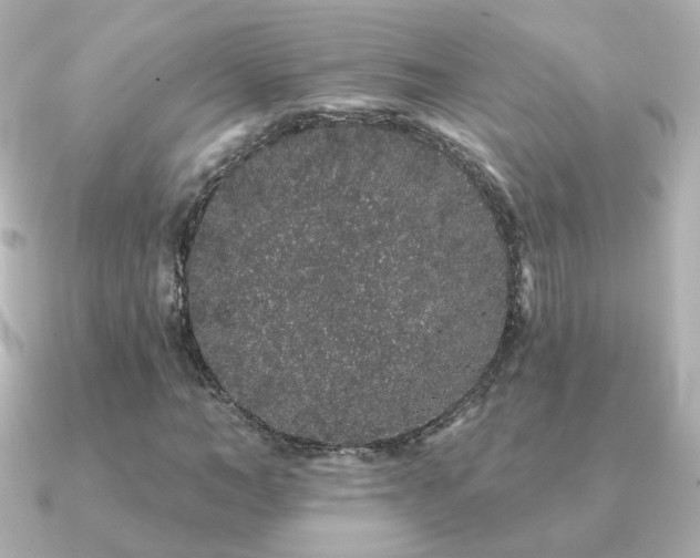 X0000091190966200708091246