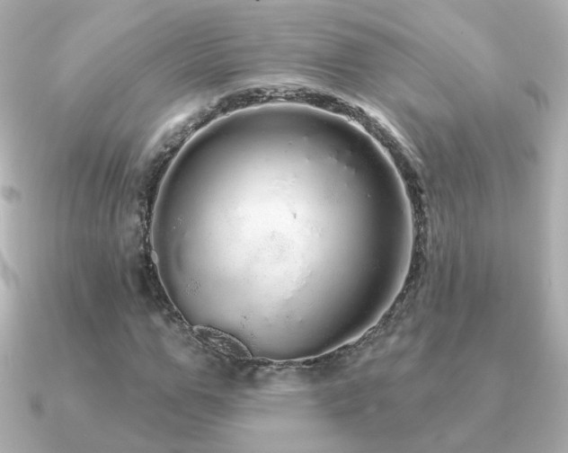 X0000091190967200708091246