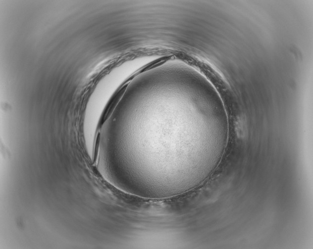 X0000091190968200708091246