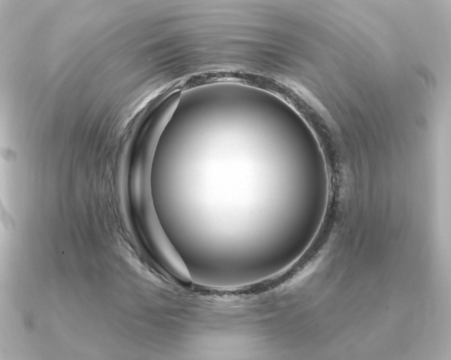 X0000091190969200708091246