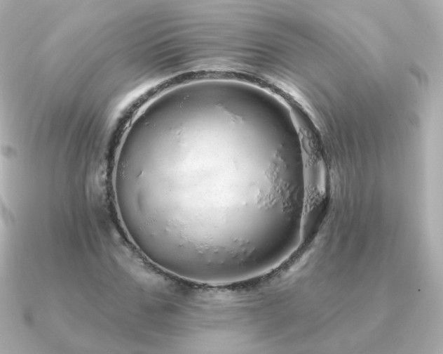 X0000091190971200708091246