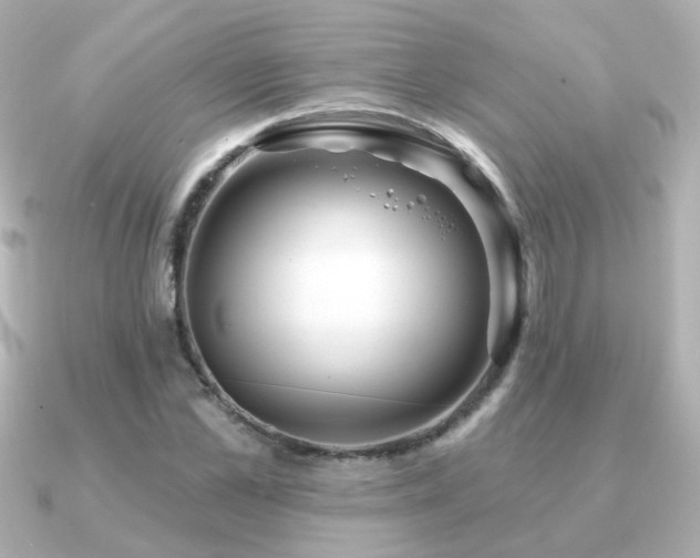 X0000091190973200708091246