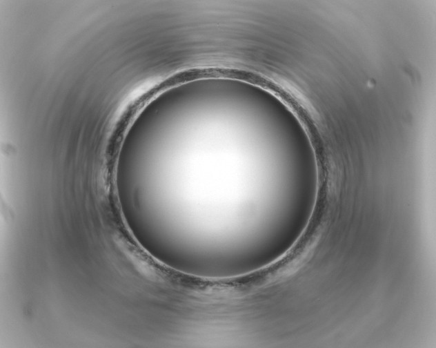 X0000091190974200708091246