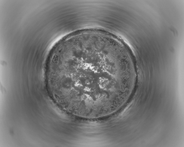 X0000091190975200708091246