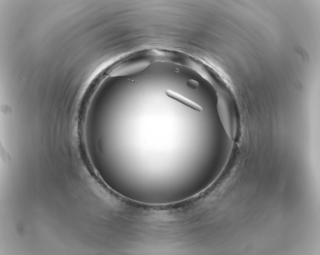 X0000091190976200708091246