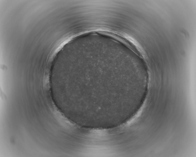 X0000091190977200708091246