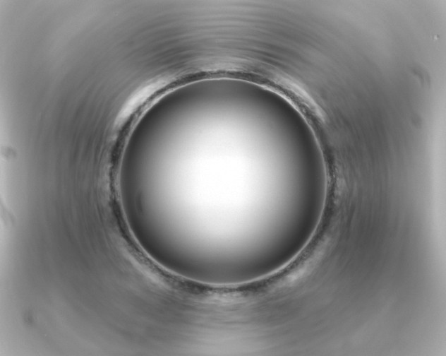 X0000091190978200708091246