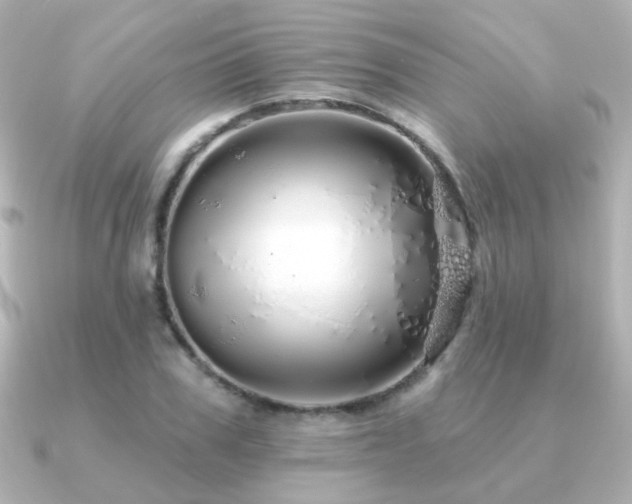 X0000091190979200708091246