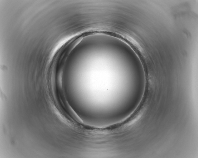 X0000091190981200708091246