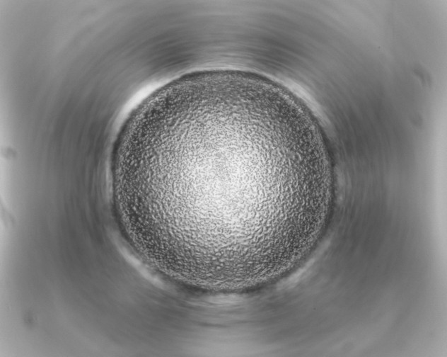 X0000091190982200708091246