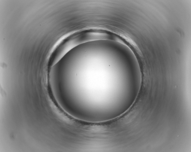 X0000091190984200708091246