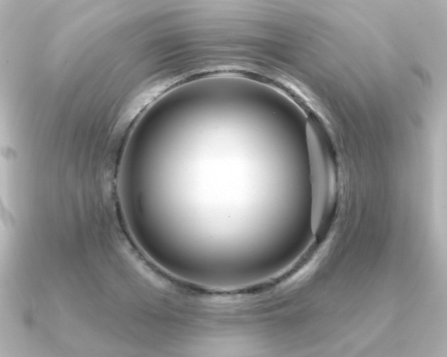 X0000091190985200708091246