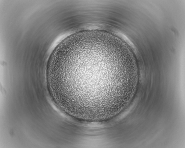 X0000091190986200708091246