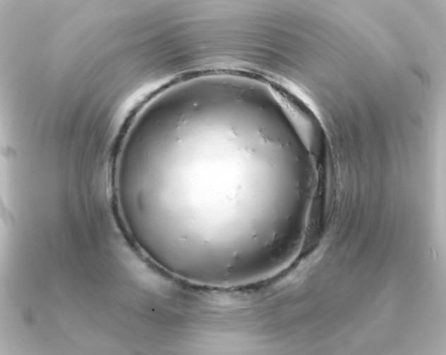 X0000091190987200708091246