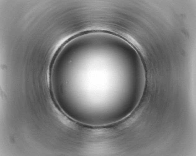 X0000091190988200708091246