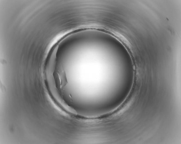 X0000091190989200708091246