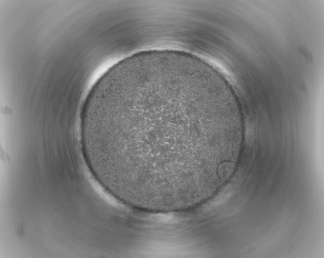 X0000091190990200708091246