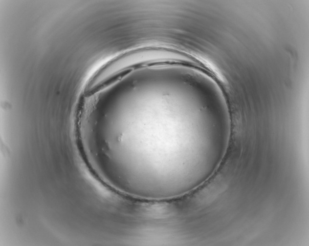 X0000091190991200708091246