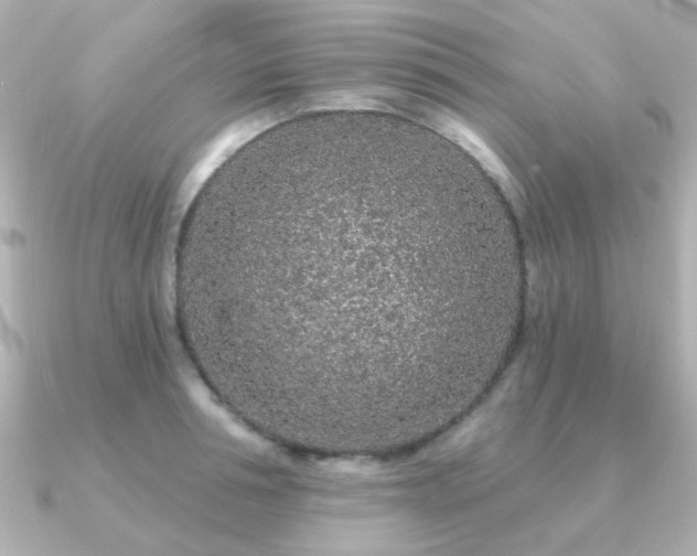X0000091190994200708091246