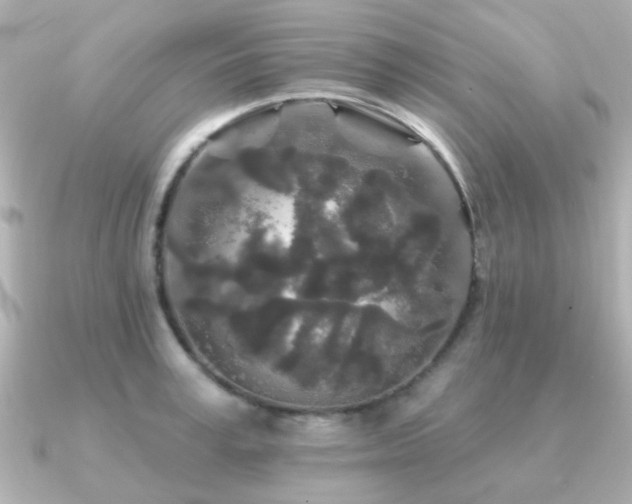X0000091190995200708091246