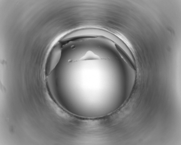 X0000091190996200708091246