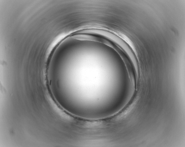X0000091190997200708091246