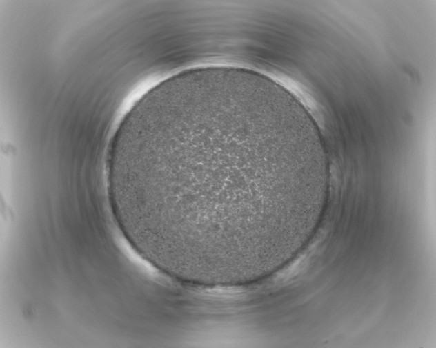 X0000091190998200708091246