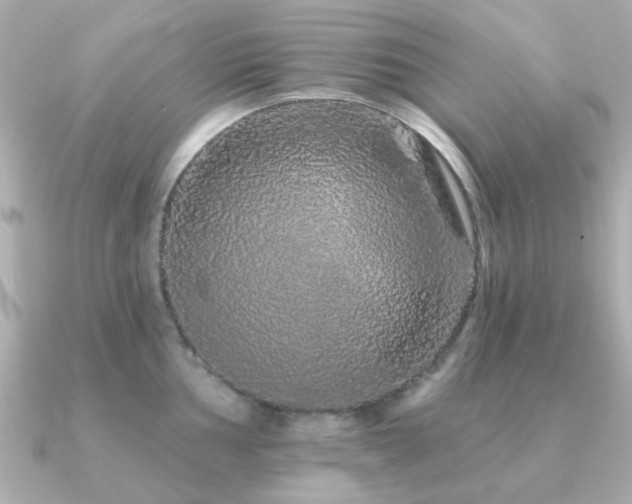 X0000091191002200708091246