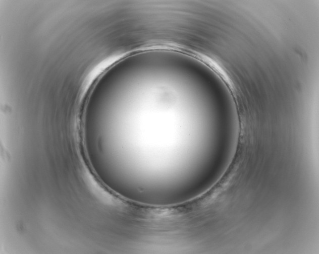 X0000091191003200708091246