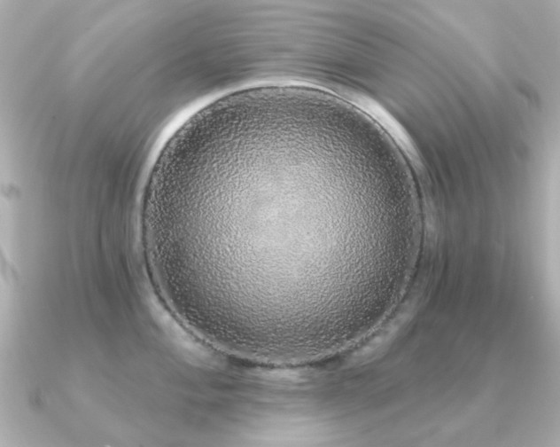 X0000091191004200708091246
