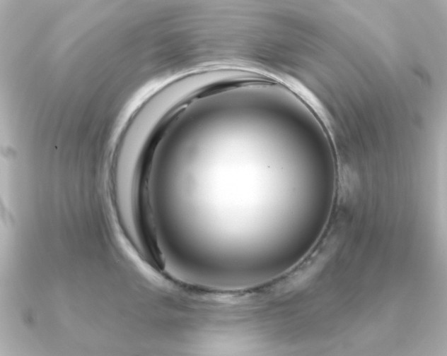 X0000091191005200708091246