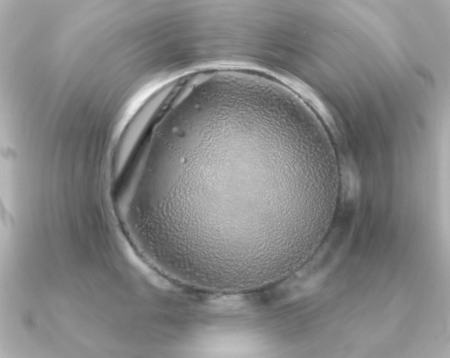 X0000091191006200708091246