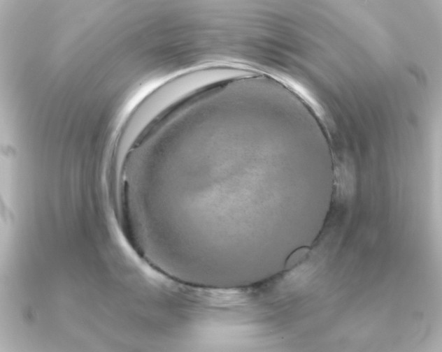 X0000091191007200708091246