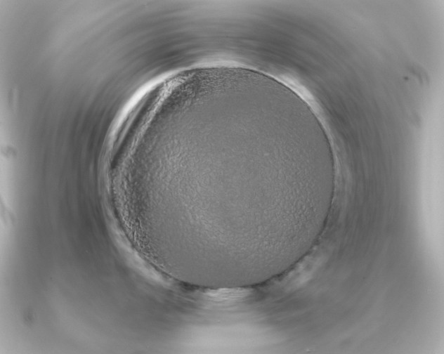 X0000091191008200708091246