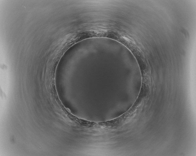 X0000091191009200708091245